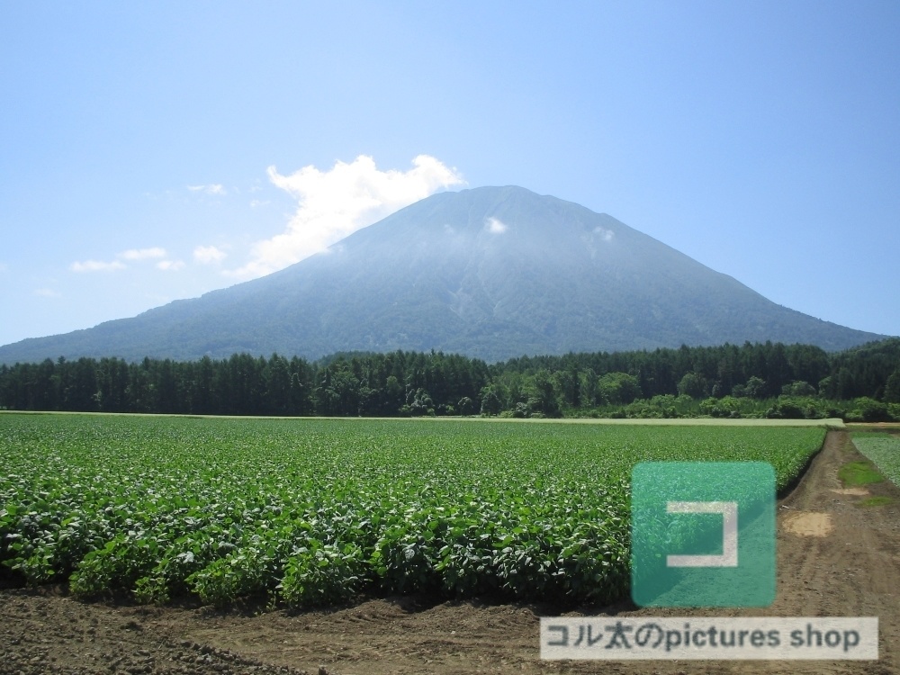山のある風景①10枚・1セット