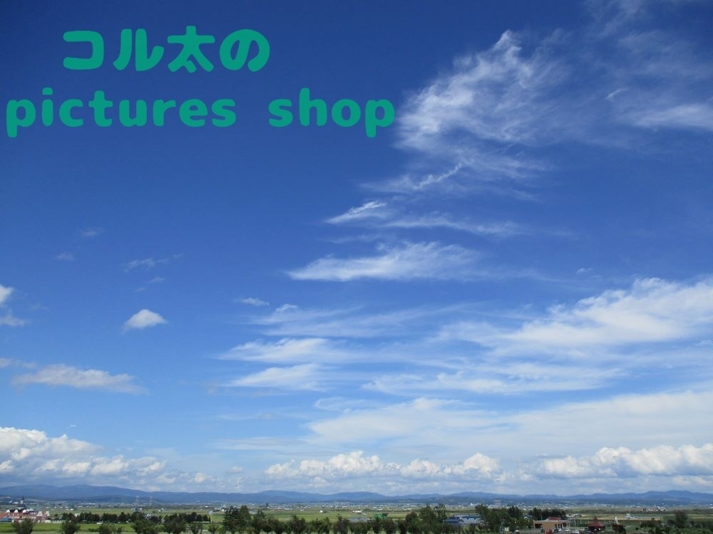 夏空とヒマワリ畑の風景(10枚・1セット)