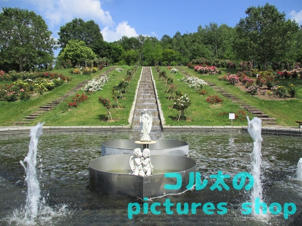 バラ庭園の風景①10枚・1ｾｯﾄ