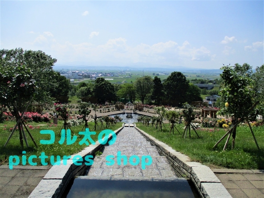 バラ庭園の風景①10枚・1セット