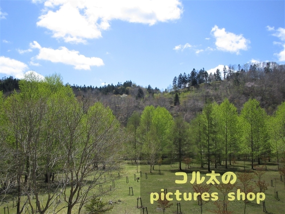 ダムのある風景②10枚・1セット