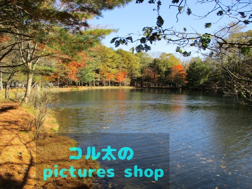 秋の池の風景②10枚・1セット