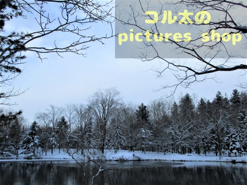冬の池の風景①10枚・1セット