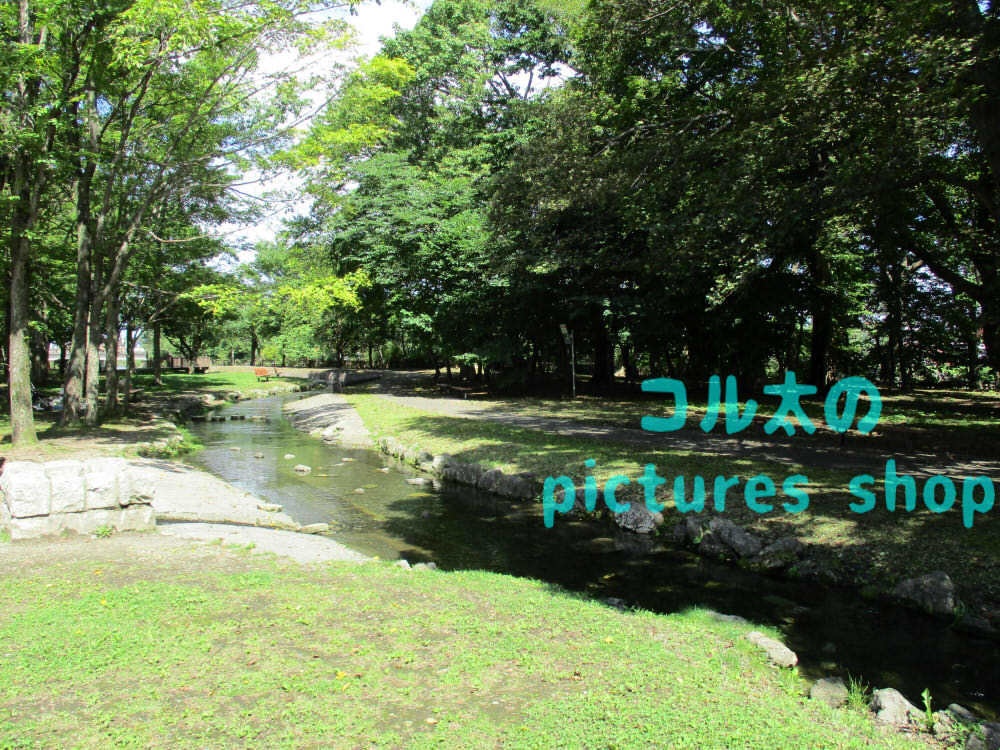 川のある風景③10枚・1セット