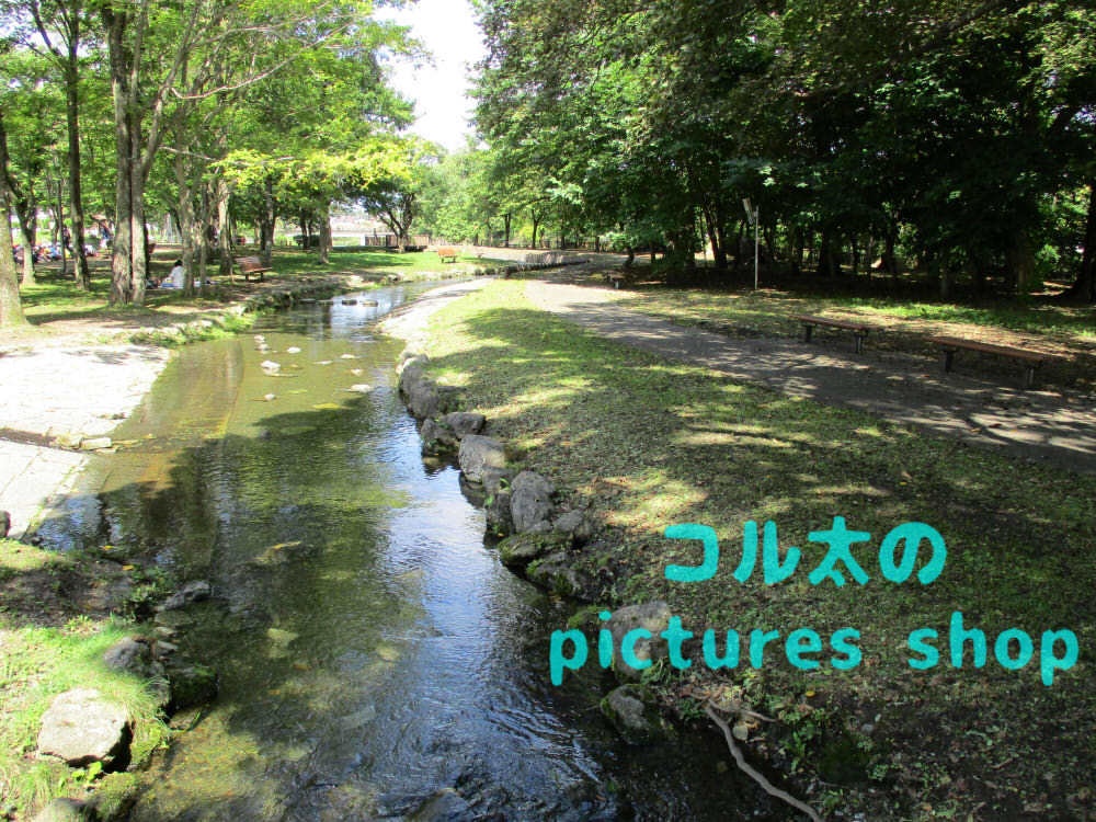 川のある風景③10枚・1セット