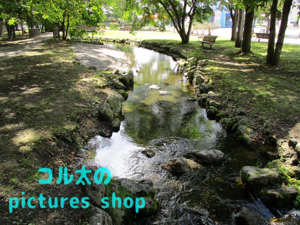 川のある風景③10枚・1セット