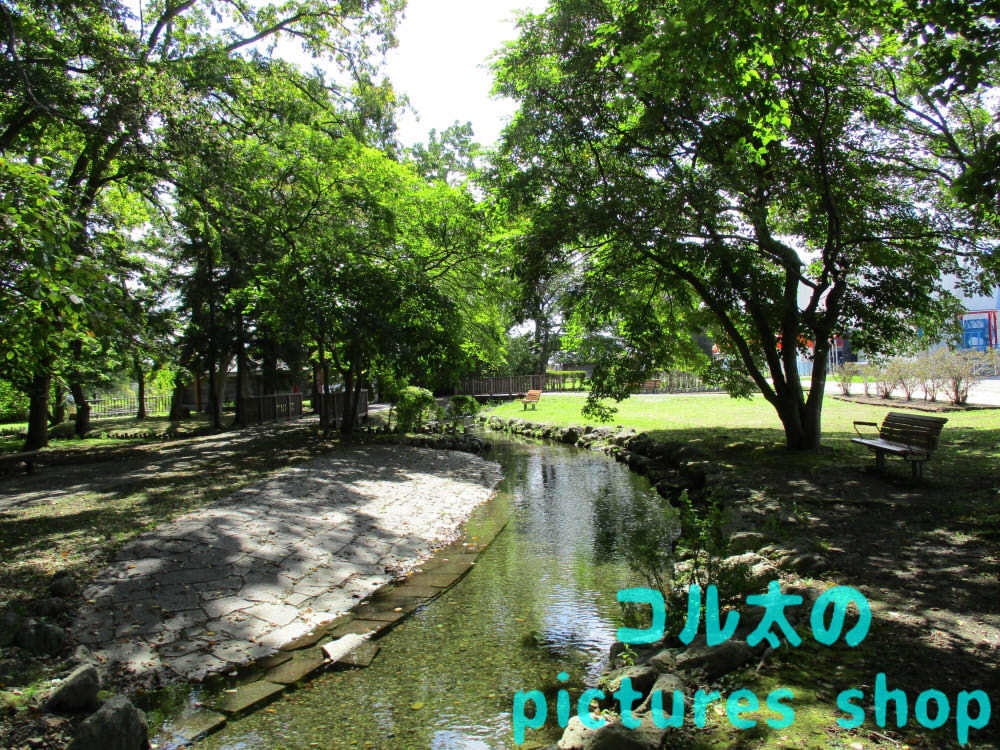 川のある風景③10枚・1セット