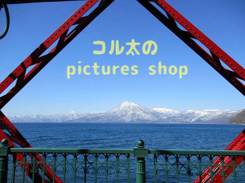 湖の風景(支笏湖・早春)10枚・1セット