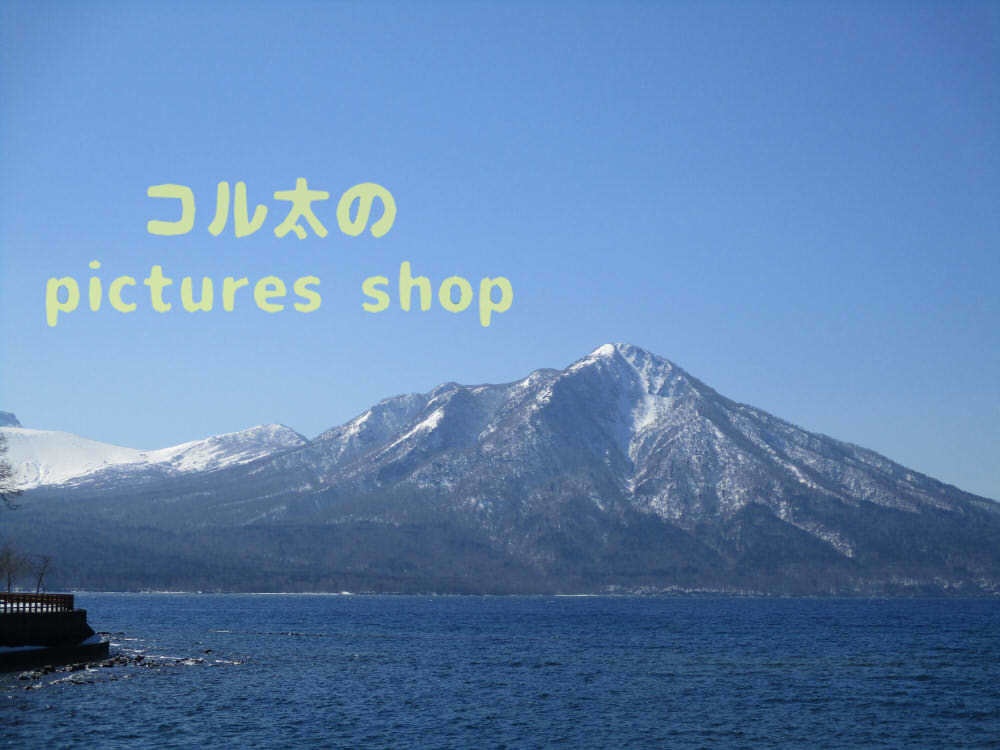 湖の風景(支笏湖・早春)10枚・1セット
