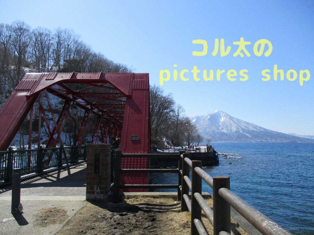 湖の風景(支笏湖・早春)10枚・1セット