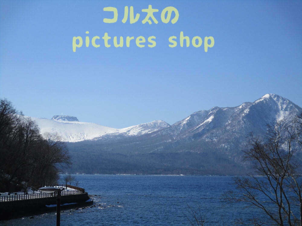 湖の風景(支笏湖・早春)10枚・1セット