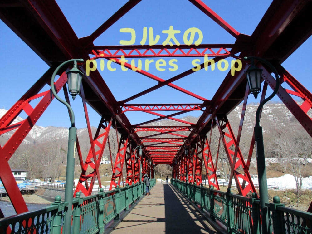 湖の風景(支笏湖・早春)10枚・1セット