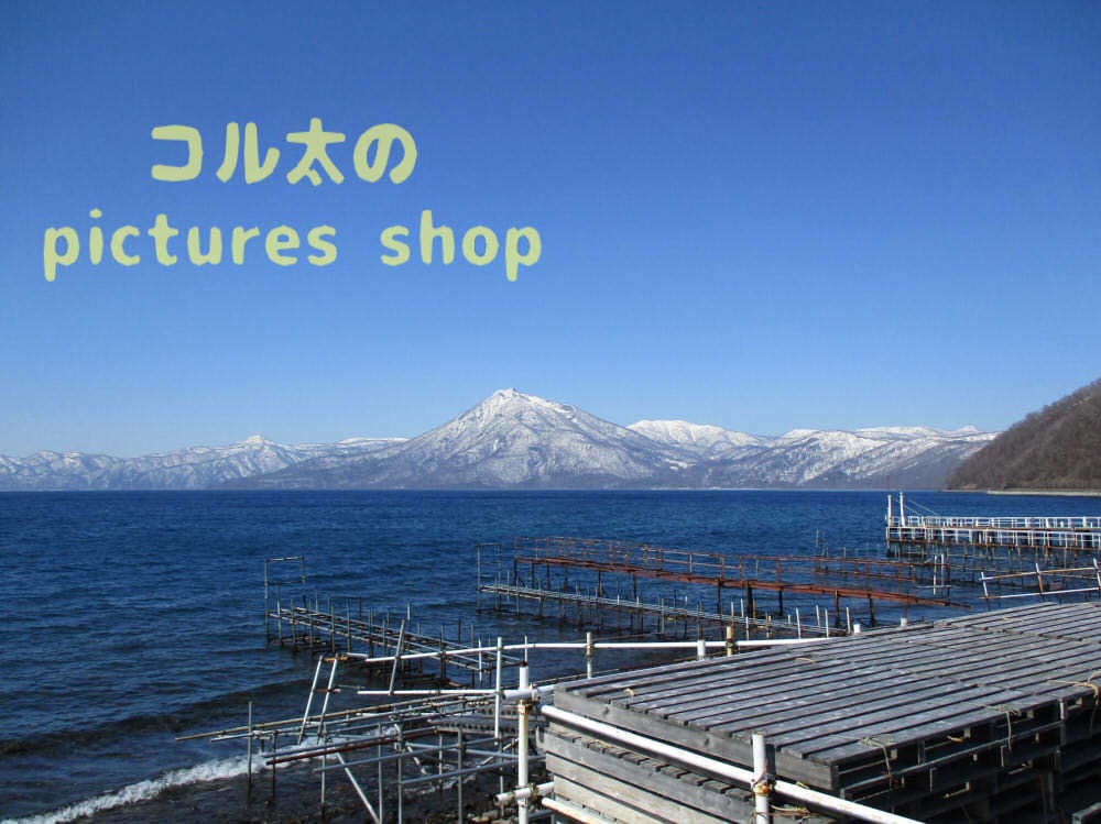 湖の風景(支笏湖・早春)10枚・1セット