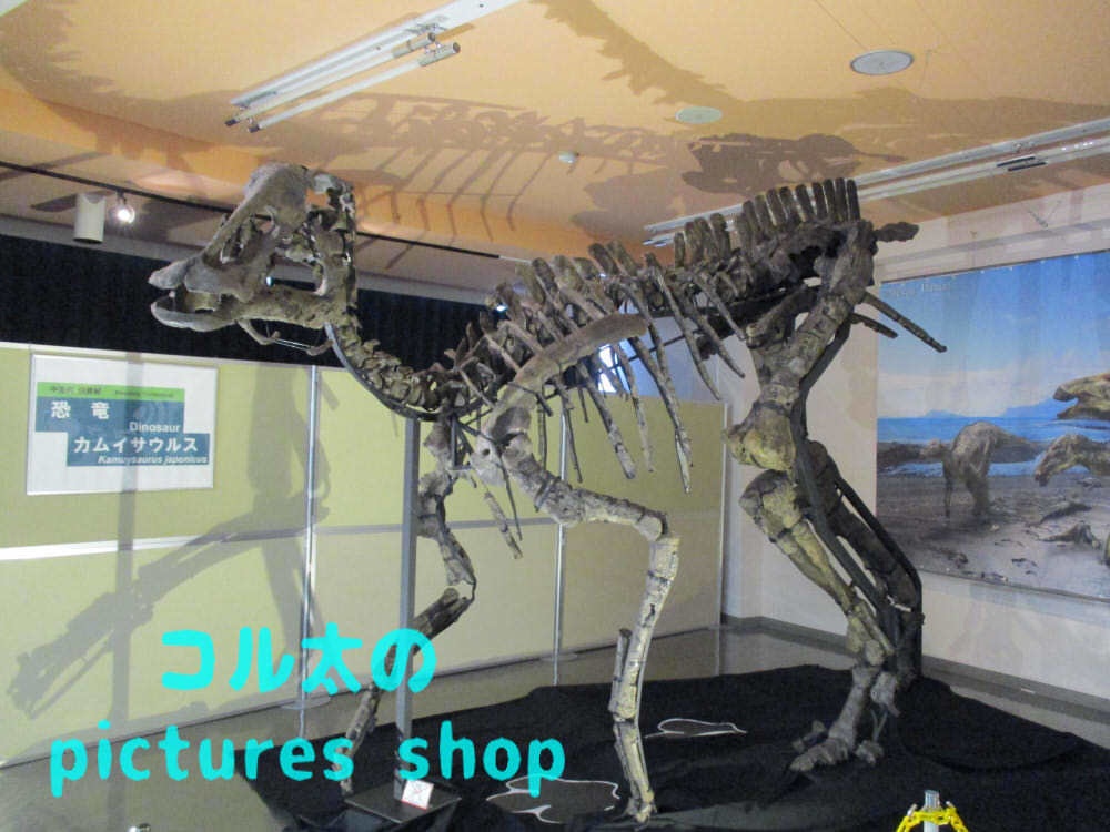 恐竜の骨格①10枚・1セット