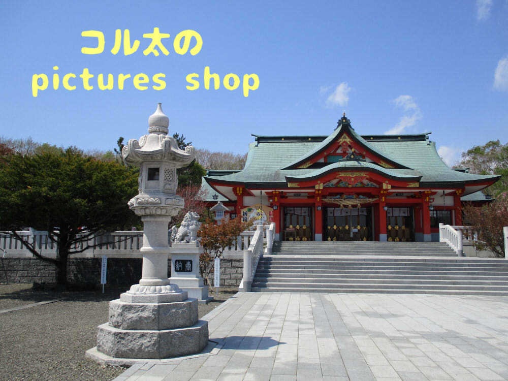 桜と神社 10枚・1セット