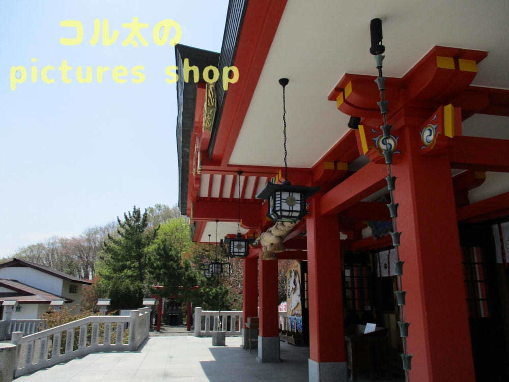 桜と神社 10枚・1セット