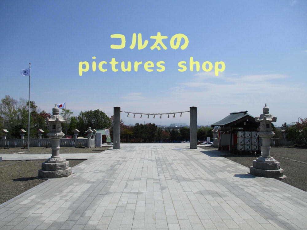 桜と神社 10枚・1セット