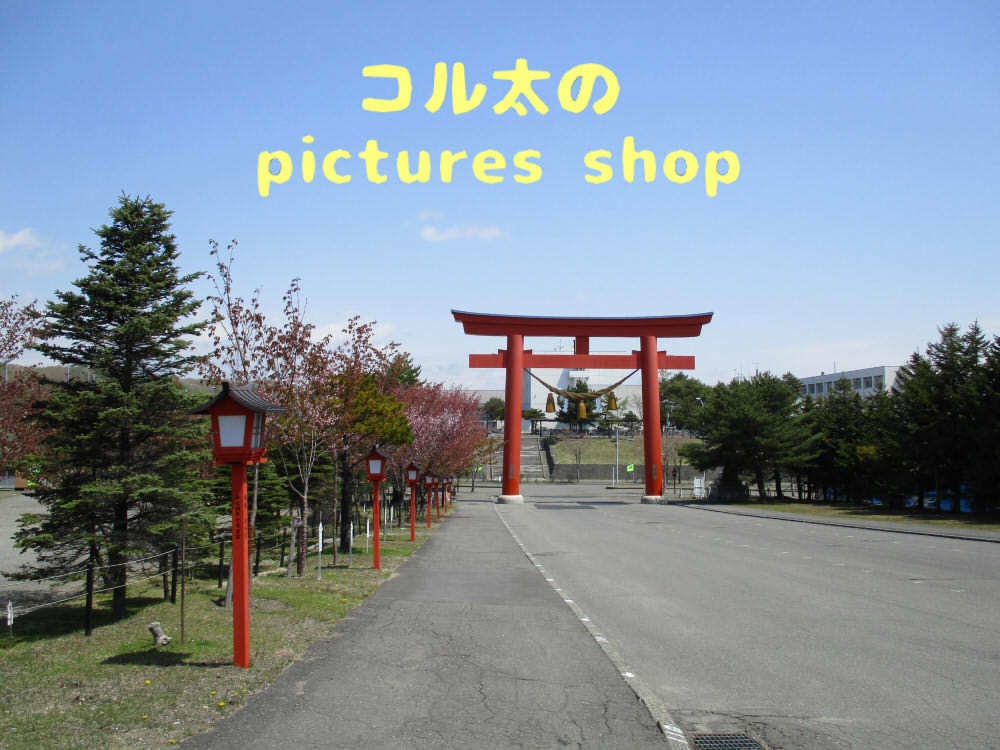 桜と神社 10枚・1セット