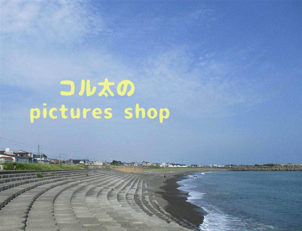海の風景②10枚・1セット