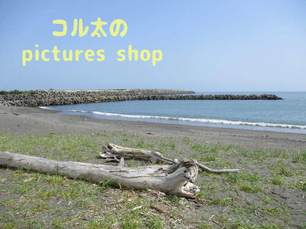 海の風景②10枚・1ｾｯﾄ
