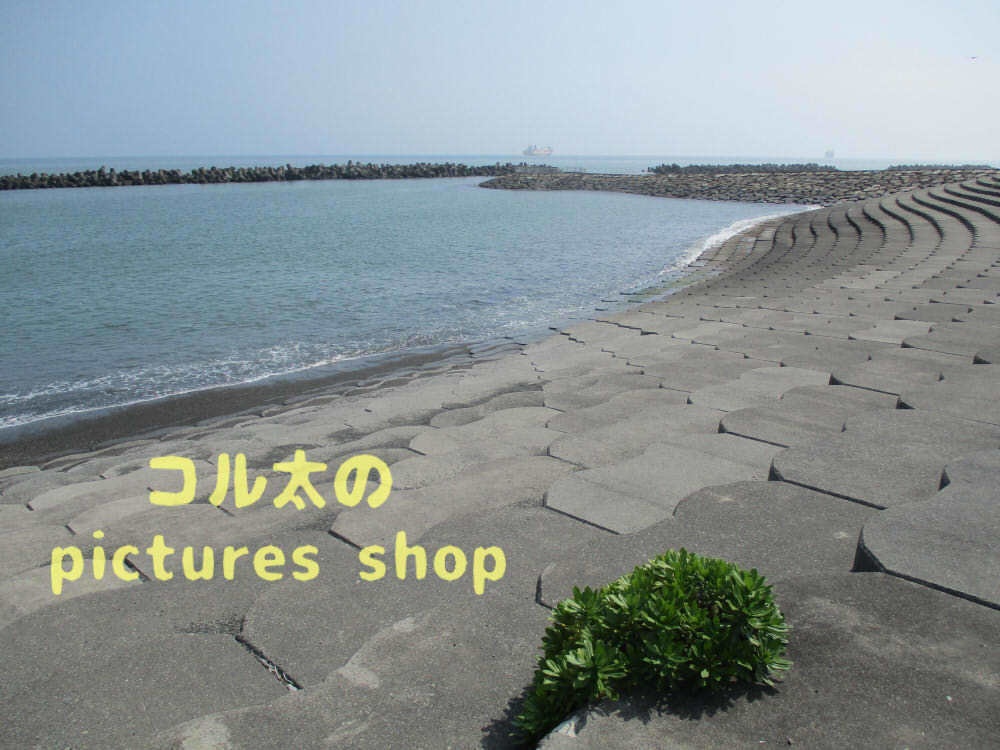 海の風景②10枚・1セット