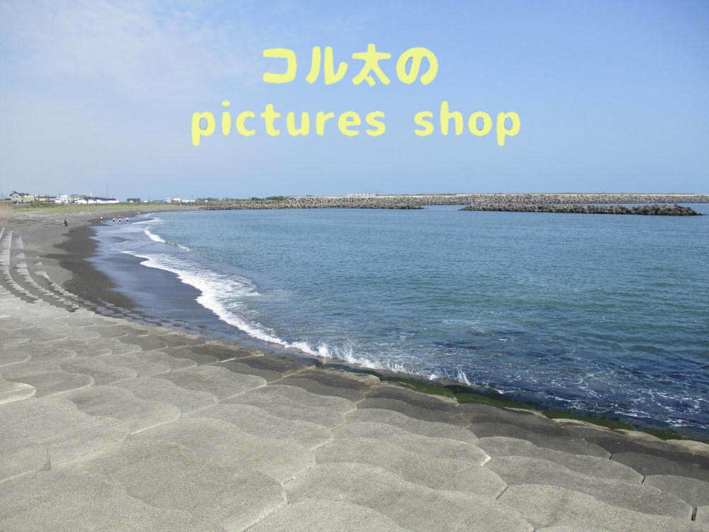 海の風景②10枚・1セット