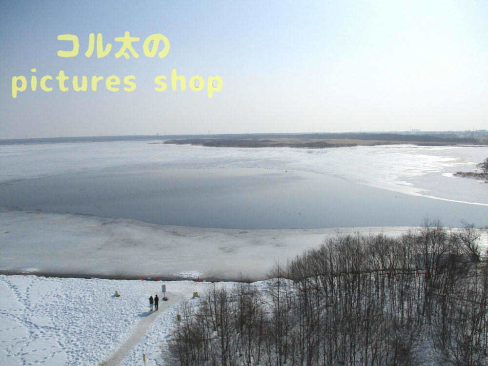 ウトナイ湖・冬①10枚・1セット