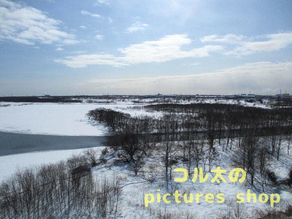 ウトナイ湖・冬①10枚・1セット