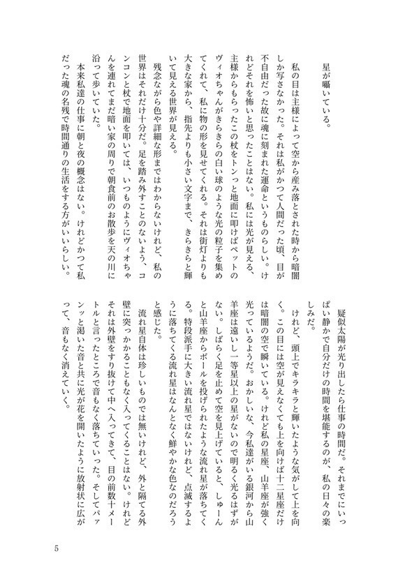 The Exoplanet Ship【納配】