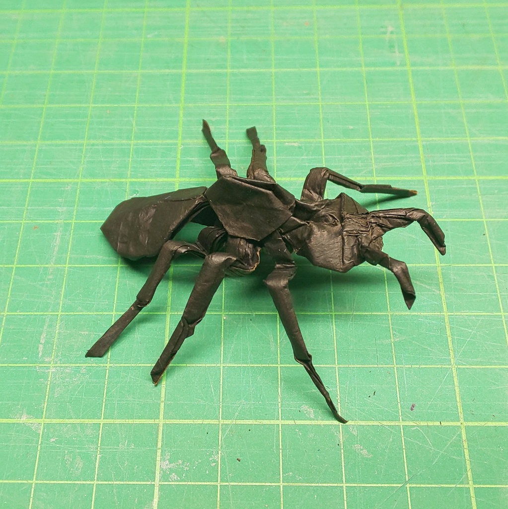 アリ の折り図 Origami Ant S Diagram ましたの折り紙 Booth