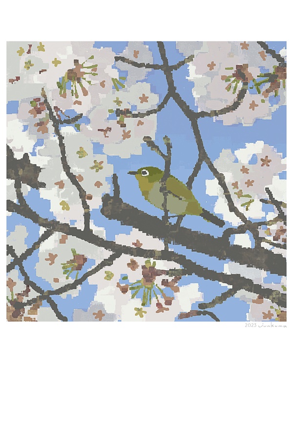 「桜とメジロ」ポストカード