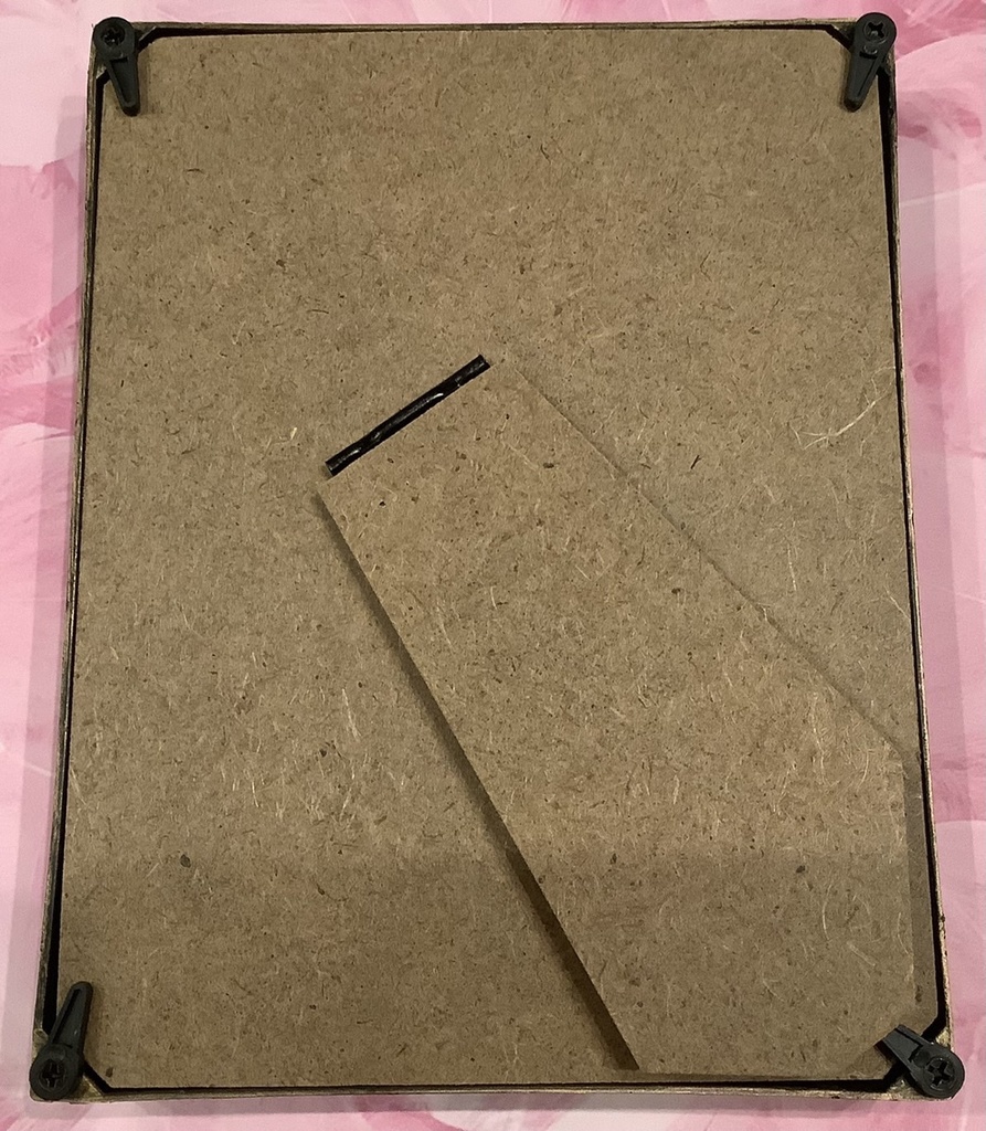 額イラスト【食】(1点限り)