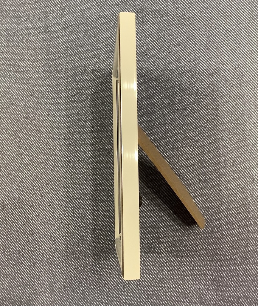 額イラスト【邪】(1点限り)