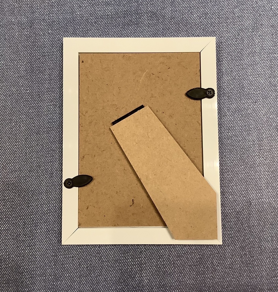 額イラスト【邪】(1点限り)