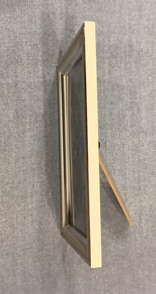 額イラスト【紫白ノ竜】(1点限り)