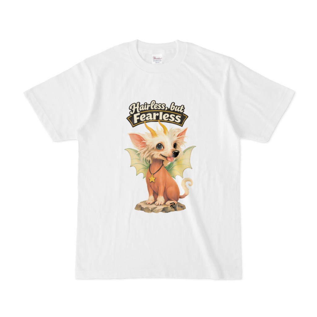 チャイクレ犬 ドラゴン(怖いもの知らず)hairless fearless crested dog