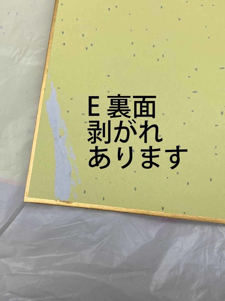 手描き色紙(小)