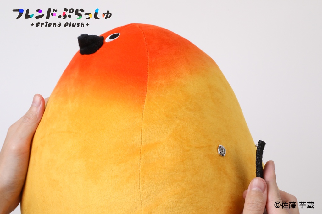 【6/7まで期間限定受注】フレンドぷらっしゅ 11/12 Bird/鳥ぬいぐるみ(コガネメキシコインコ/オカメインコ)
