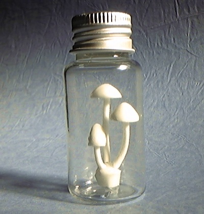 ボトルキノコ小01