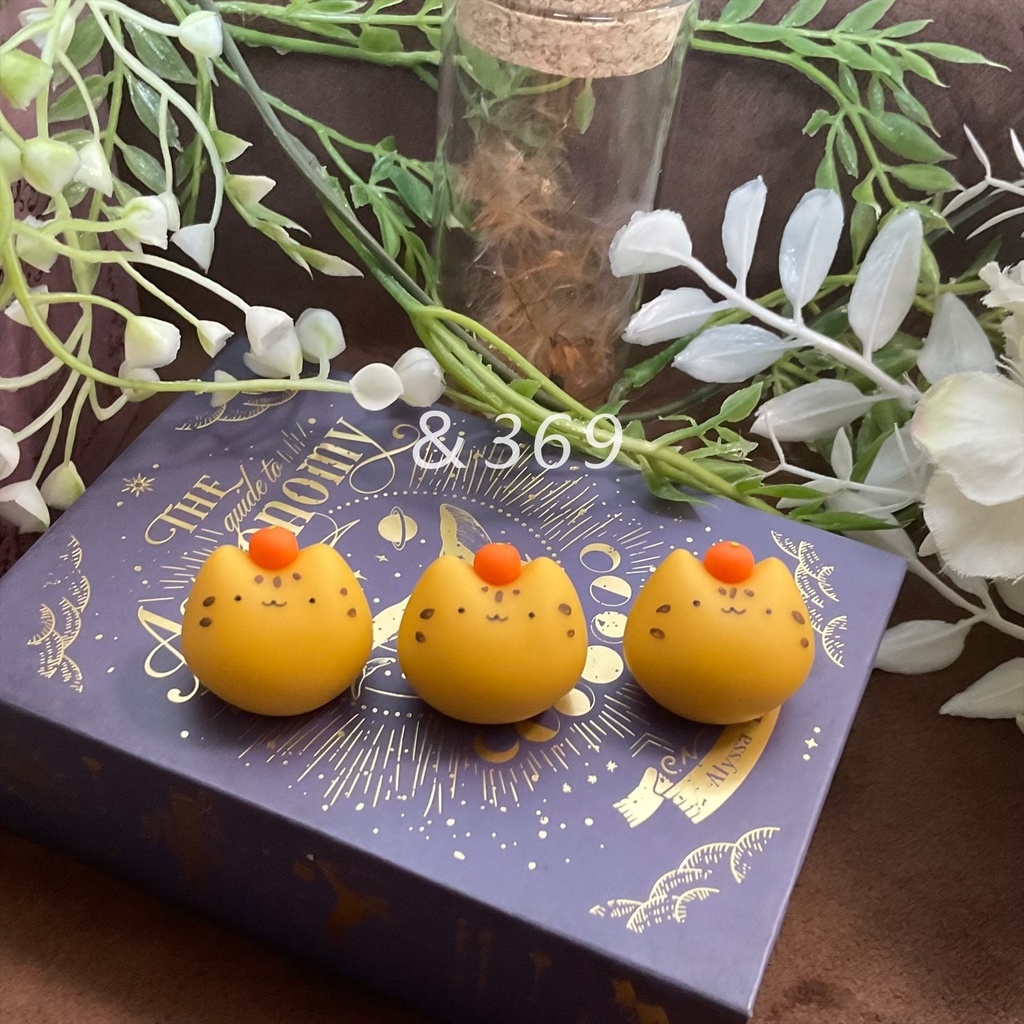 季節のちびにゃえどこ~みかん~