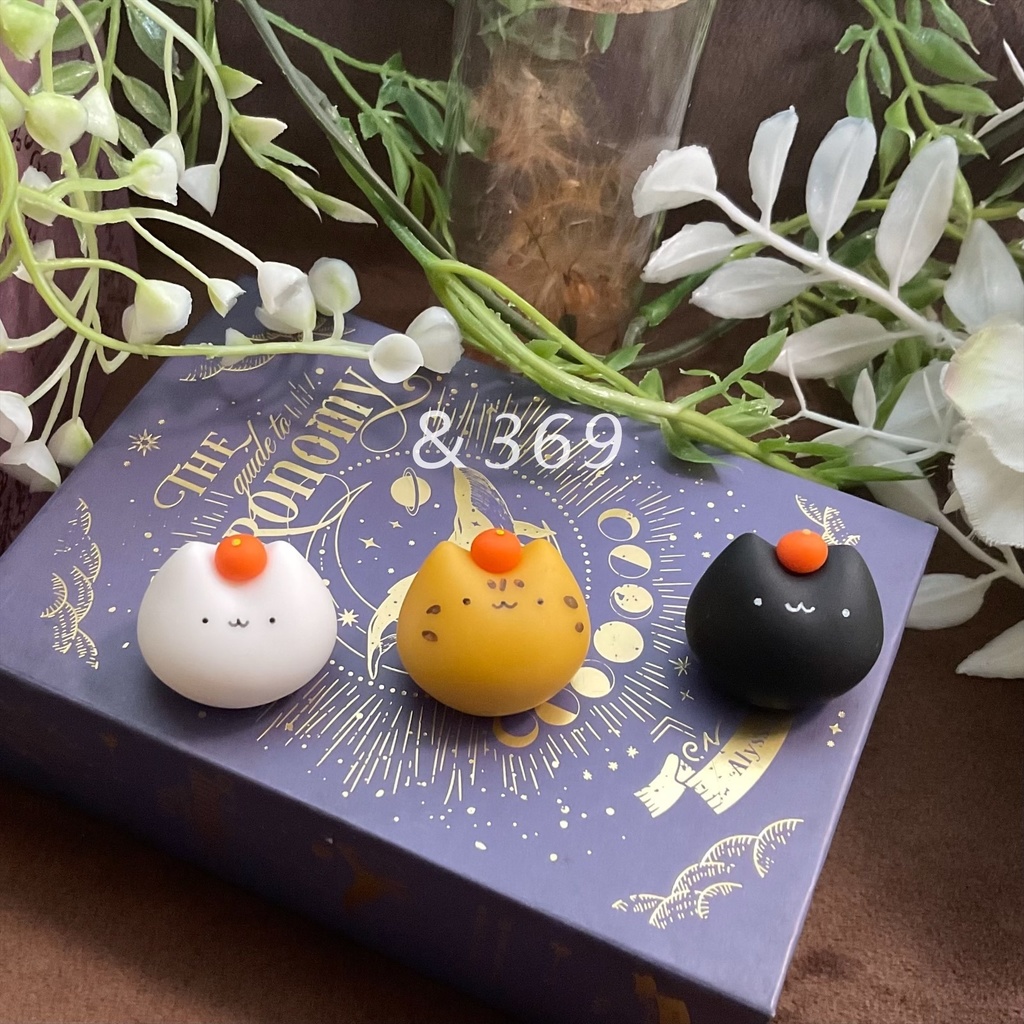 季節のちびにゃえどこ~みかん~