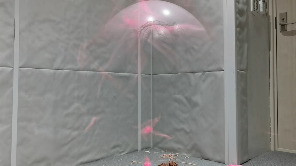 エルベ風船割り動画 Elbe balloon popping video