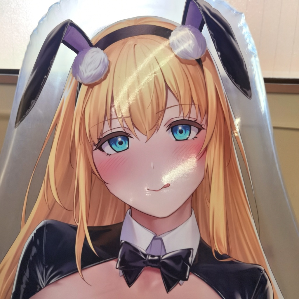 ノースカロライナ空ビ North Carolina inflatable