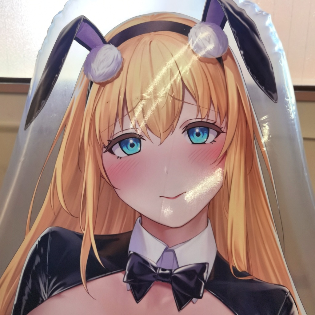 ノースカロライナ空ビ North Carolina inflatable