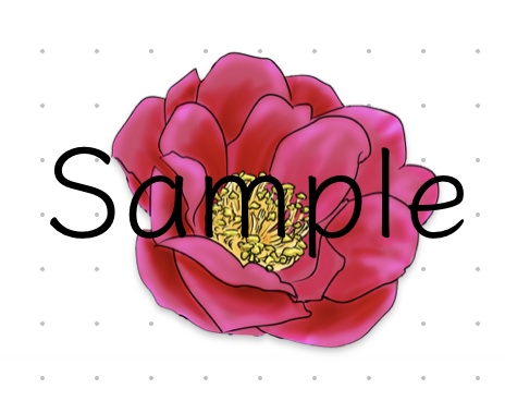 【PNG素材】四季の花特集 ~4つの花束~ バラ・ラナンキュラス・ポインセチア・椿