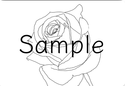 【PNG素材】四季の花特集 ~4つの花束~ バラ・ラナンキュラス・ポインセチア・椿