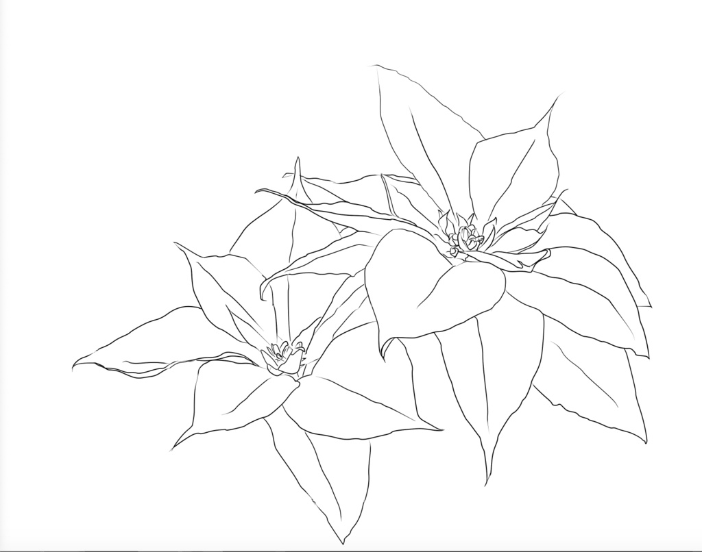 【PNG素材】四季の花特集 ~4つの花束~ バラ・ラナンキュラス・ポインセチア・椿