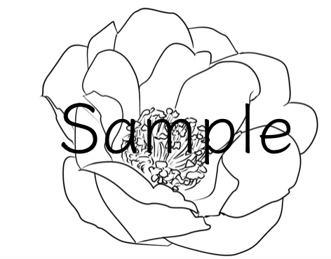 【PNG素材】四季の花特集 ~4つの花束~ バラ・ラナンキュラス・ポインセチア・椿