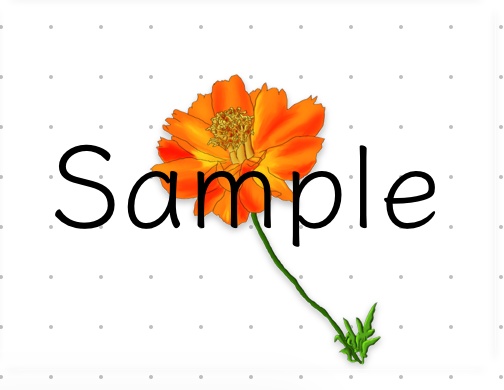 【PNG素材】四季の花特集 〜4つの花束〜 朝顔・ルドベキア・コスモス・向日葵 morning glory / rudbeckia / cosmos / sunflower