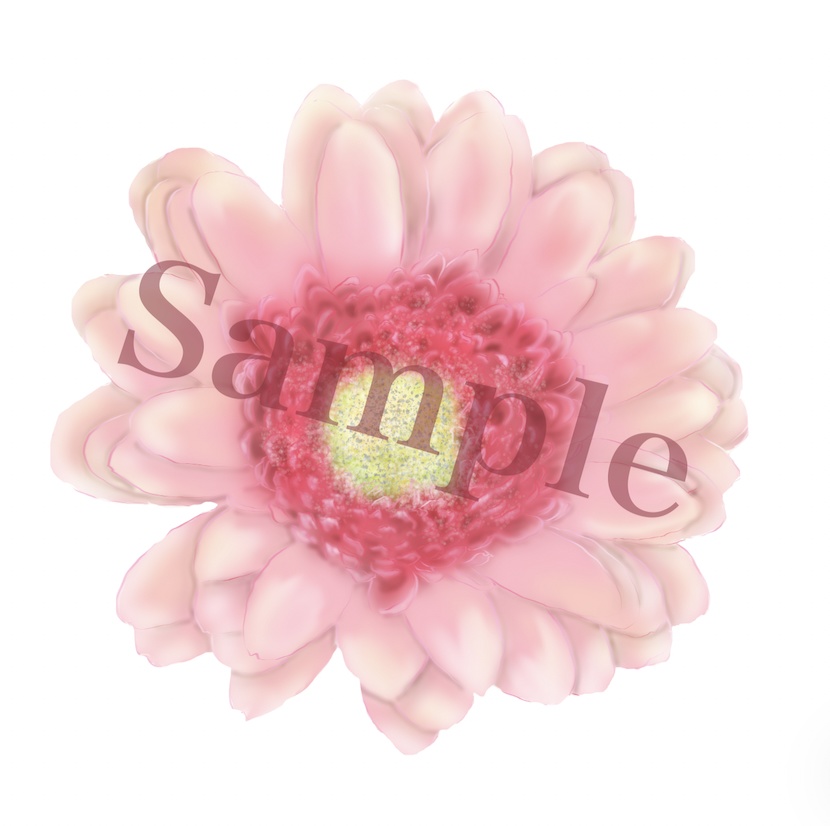 【4つの花束 ( ? ) 】 Winter ver.  ガーベラ、カラー、銀杏、紅葉、桜（←＋α）　African daisy, Calla Lily, Tree a maidenhair tree, Maple, Cherry blossom PNG　materials.